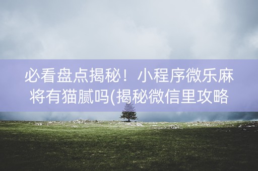 必看盘点揭秘！小程序微乐麻将有猫腻吗(揭秘微信里攻略插件)
