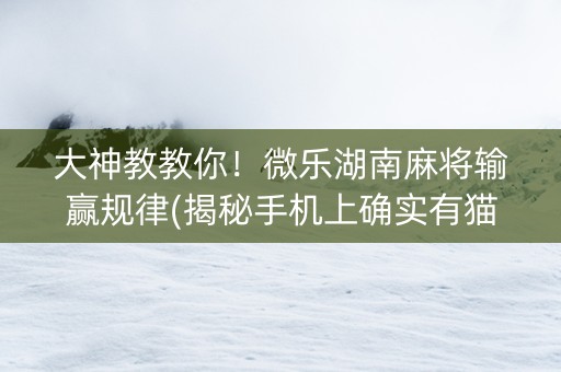 大神教教你！微乐湖南麻将输赢规律(揭秘手机上确实有猫腻)
