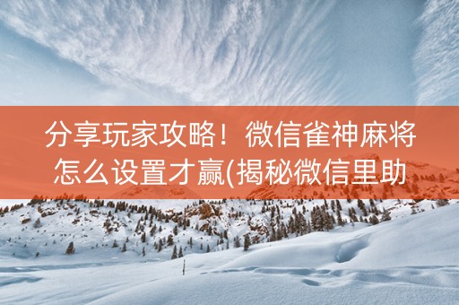 分享玩家攻略！微信雀神麻将怎么设置才赢(揭秘微信里助赢神器)