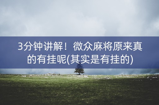 3分钟讲解！微众麻将原来真的有挂呢(其实是有挂的)