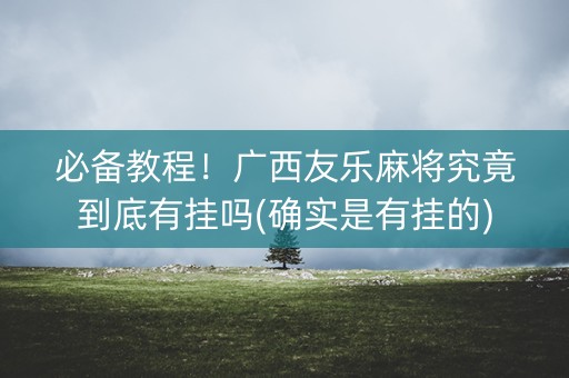 必备教程！广西友乐麻将究竟到底有挂吗(确实是有挂的)