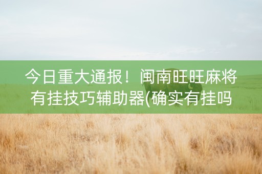 今日重大通报！闽南旺旺麻将有挂技巧辅助器(确实有挂吗)