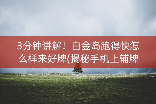 3分钟讲解！白金岛跑得快怎么样来好牌(揭秘手机上辅牌器)