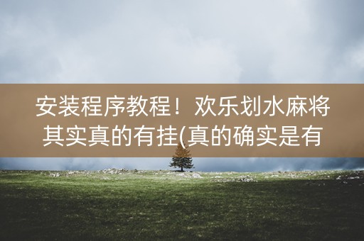 安装程序教程！欢乐划水麻将其实真的有挂(真的确实是有挂)