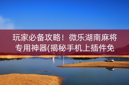 玩家必备攻略！微乐湖南麻将专用神器(揭秘手机上插件免费)