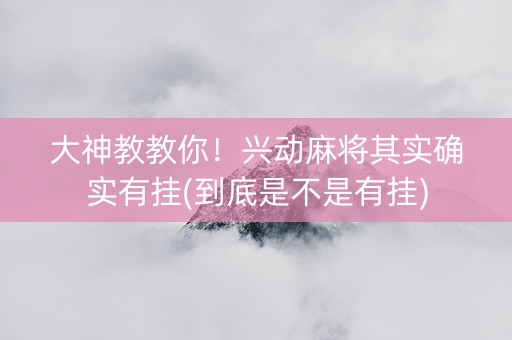 大神教教你！兴动麻将其实确实有挂(到底是不是有挂)