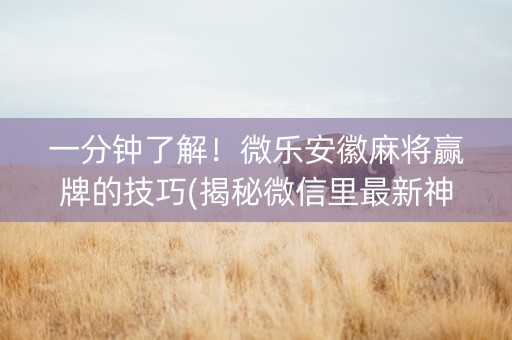 一分钟了解！微乐安徽麻将赢牌的技巧(揭秘微信里最新神器下载)
