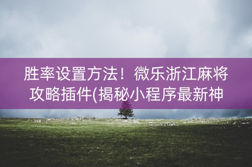 胜率设置方法！微乐浙江麻将攻略插件(揭秘小程序最新神器下载)
