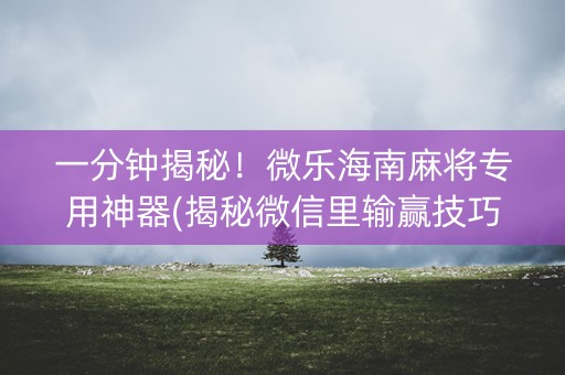 一分钟揭秘！微乐海南麻将专用神器(揭秘微信里输赢技巧)