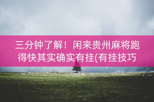 三分钟了解！闲来贵州麻将跑得快其实确实有挂(有挂技巧辅助器)