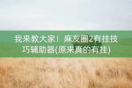 我来教大家！麻友圈2有挂技巧辅助器(原来真的有挂)