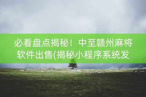 必看盘点揭秘！中至赣州麻将软件出售(揭秘小程序系统发好牌)