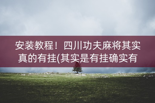 安装教程！四川功夫麻将其实真的有挂(其实是有挂确实有挂)