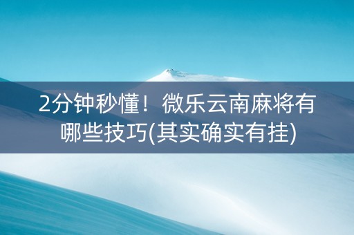 2分钟秒懂！微乐云南麻将有哪些技巧(其实确实有挂)