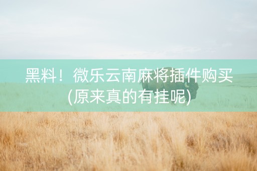 黑料！微乐云南麻将插件购买(原来真的有挂呢)
