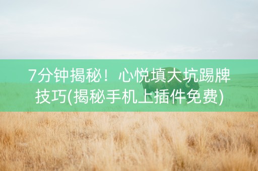 7分钟揭秘！心悦填大坑踢牌技巧(揭秘手机上插件免费)