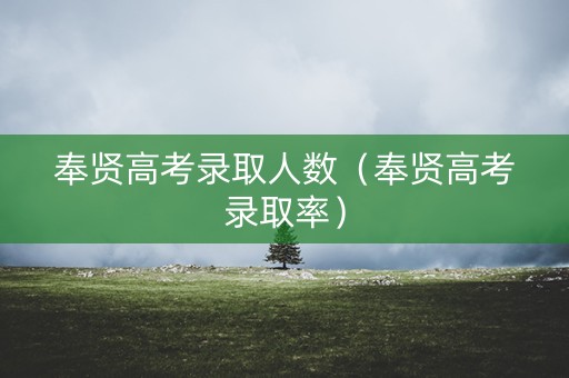 奉贤高考录取人数（奉贤高考录取率）
