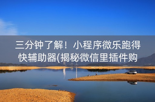 三分钟了解！小程序微乐跑得快辅助器(揭秘微信里插件购买)