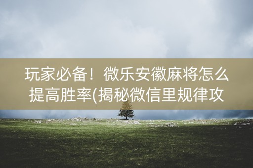 玩家必备！微乐安徽麻将怎么提高胜率(揭秘微信里规律攻略)
