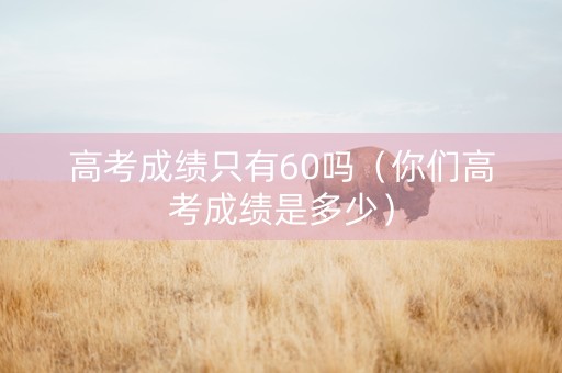 高考成绩只有60吗（你们高考成绩是多少）