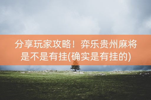 分享玩家攻略！弈乐贵州麻将是不是有挂(确实是有挂的)