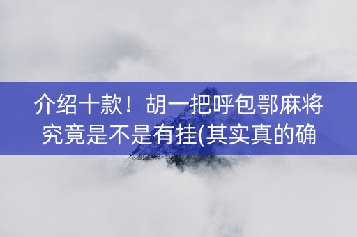 介绍十款！胡一把呼包鄂麻将究竟是不是有挂(其实真的确实有挂)