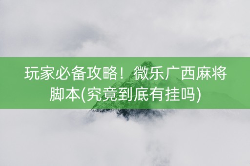 玩家必备攻略！微乐广西麻将脚本(究竟到底有挂吗)