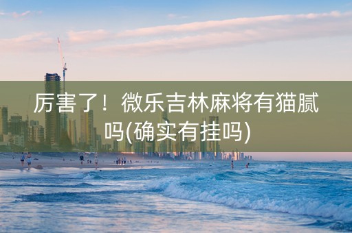 厉害了！微乐吉林麻将有猫腻吗(确实有挂吗)