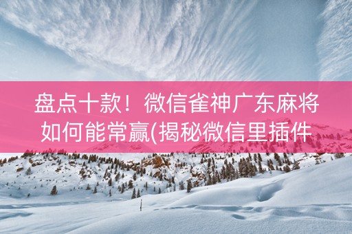 盘点十款！微信雀神广东麻将如何能常赢(揭秘微信里插件下载)