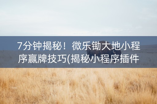 7分钟揭秘！微乐锄大地小程序赢牌技巧(揭秘小程序插件下载)