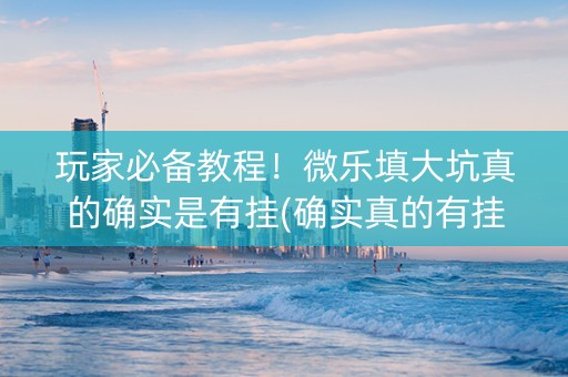 玩家必备教程！微乐填大坑真的确实是有挂(确实真的有挂)
