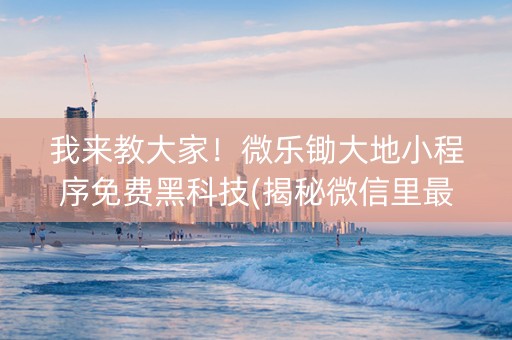 我来教大家！微乐锄大地小程序免费黑科技(揭秘微信里最新神器下载)