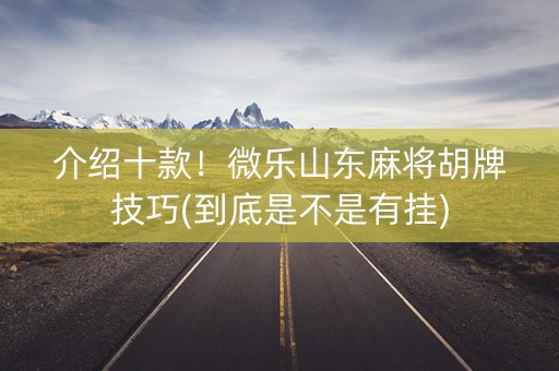介绍十款！微乐山东麻将胡牌技巧(到底是不是有挂)