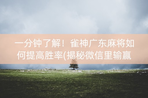 一分钟了解！雀神广东麻将如何提高胜率(揭秘微信里输赢规律)