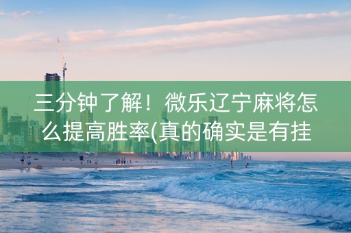 三分钟了解！微乐辽宁麻将怎么提高胜率(真的确实是有挂)
