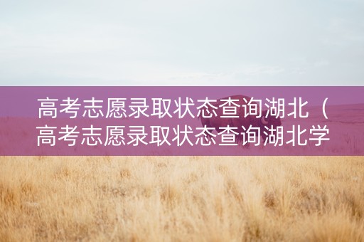 高考志愿录取状态查询湖北（高考志愿录取状态查询湖北学生）