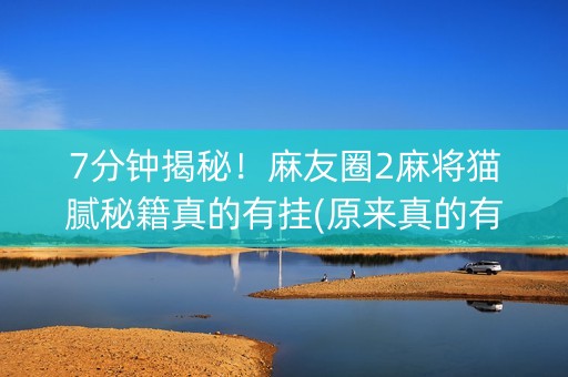 7分钟揭秘！麻友圈2麻将猫腻秘籍真的有挂(原来真的有挂)