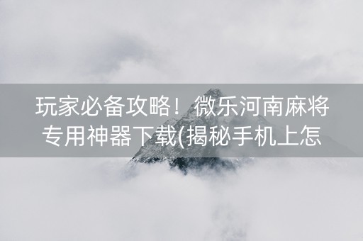 玩家必备攻略！微乐河南麻将专用神器下载(揭秘手机上怎么容易赢)