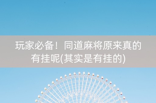 玩家必备！同道麻将原来真的有挂呢(其实是有挂的)