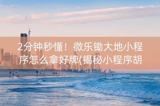 2分钟秒懂！微乐锄大地小程序怎么拿好牌(揭秘小程序胡牌技巧)