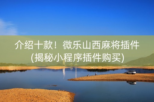 介绍十款！微乐山西麻将插件(揭秘小程序插件购买)