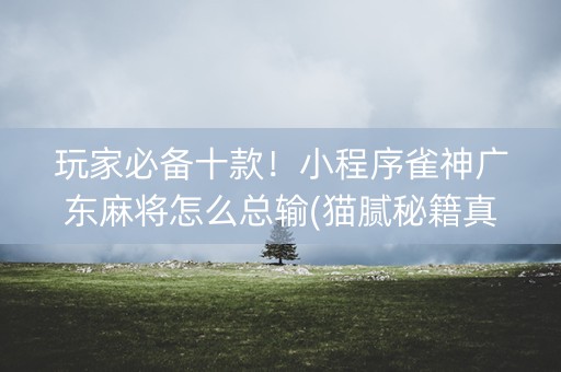 玩家必备十款！小程序雀神广东麻将怎么总输(猫腻秘籍真的有挂)