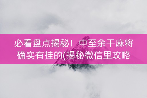 必看盘点揭秘！中至余干麻将确实有挂的(揭秘微信里攻略插件)