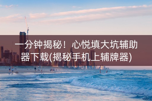 一分钟揭秘！心悦填大坑辅助器下载(揭秘手机上辅牌器)