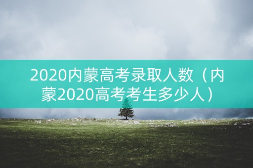 2020内蒙高考录取人数（内蒙2020高考考生多少人）