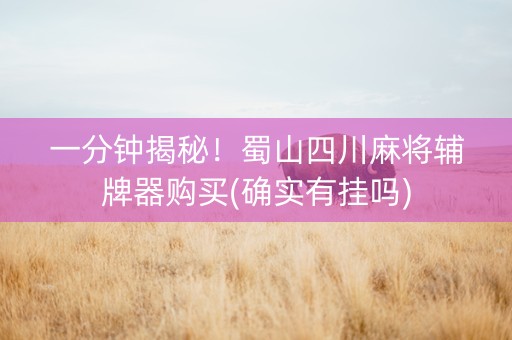 一分钟揭秘！蜀山四川麻将辅牌器购买(确实有挂吗)