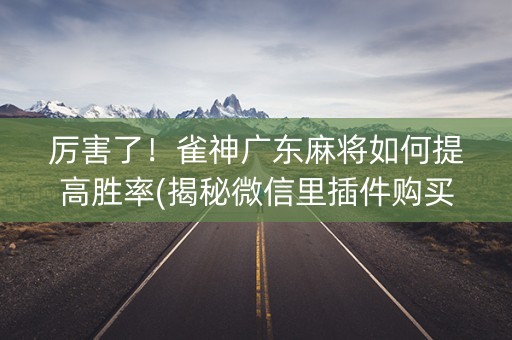 厉害了！雀神广东麻将如何提高胜率(揭秘微信里插件购买)