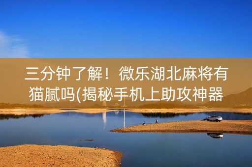 三分钟了解！微乐湖北麻将有猫腻吗(揭秘手机上助攻神器)