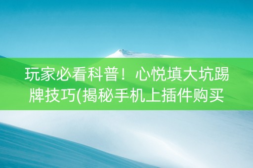 玩家必看科普！心悦填大坑踢牌技巧(揭秘手机上插件购买)