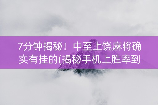 7分钟揭秘！中至上饶麻将确实有挂的(揭秘手机上胜率到哪调)